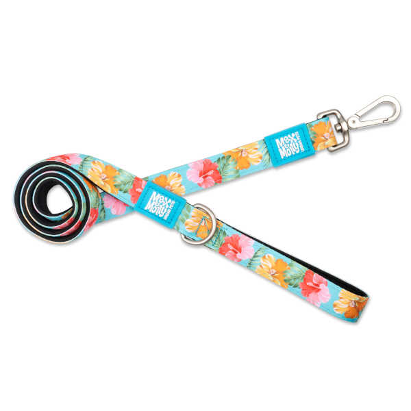Correa Exotique Max & Molly para perros