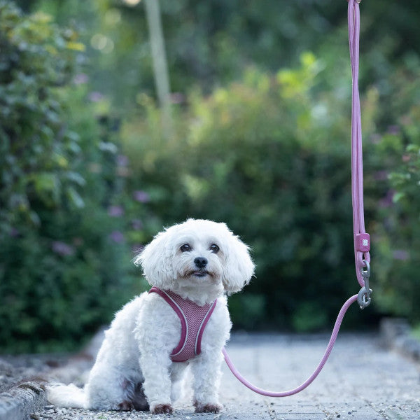 Correa Rope Leash Matrix 2.0 Rose Max & Molly para perros
