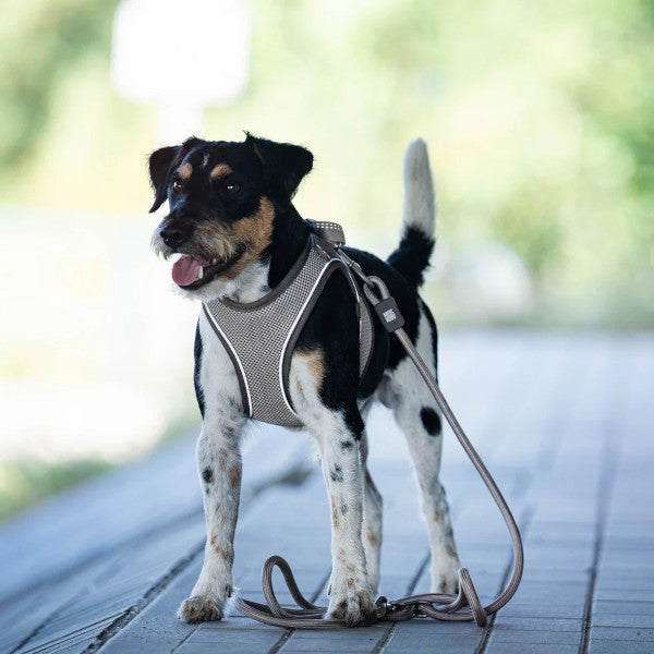 Correa Rope Leash Matrix 2.0 Sand Max & Molly para perros