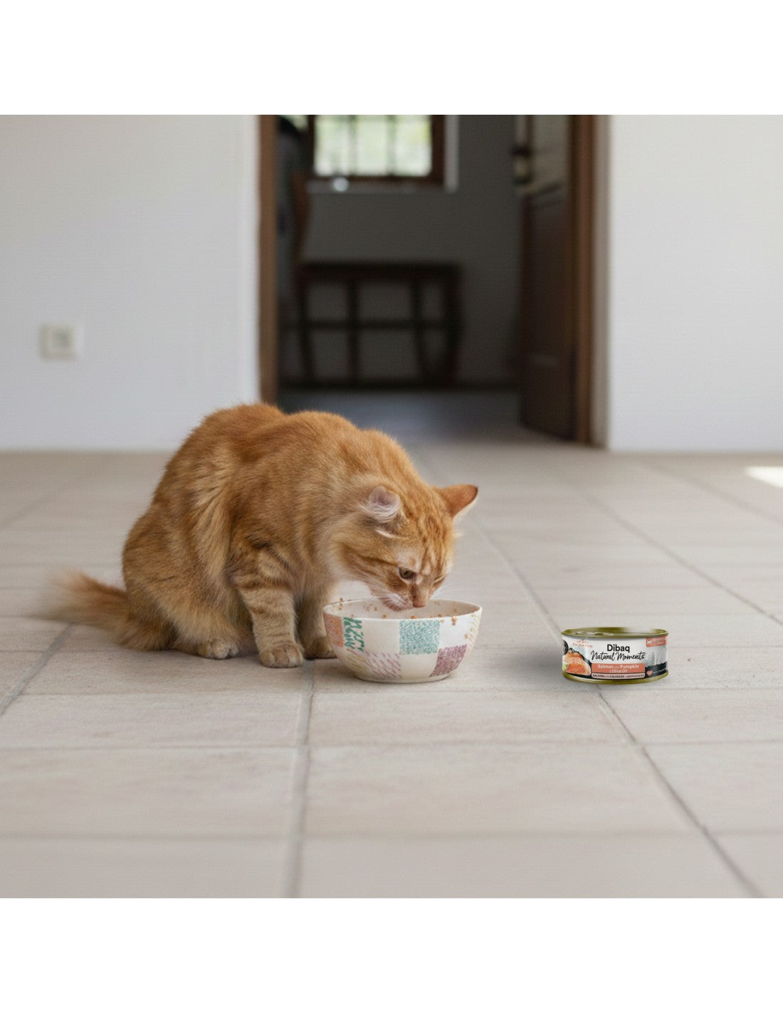 Dibaq Natural Moments 5 Star Salmón con Calabaza para gatos adultos/ esterilizados