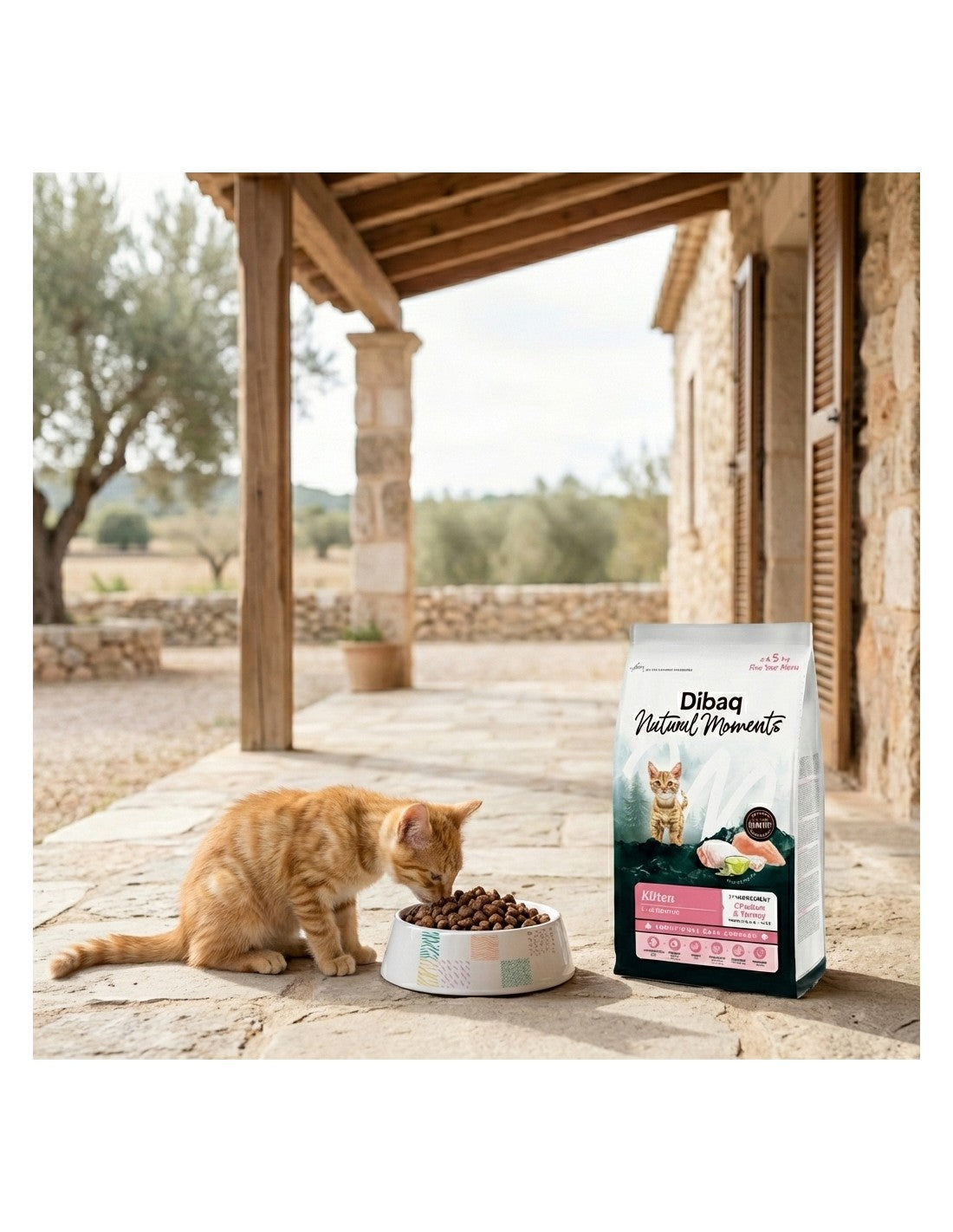 Dibaq Natural Moments 5 Star Kitten para gatitos