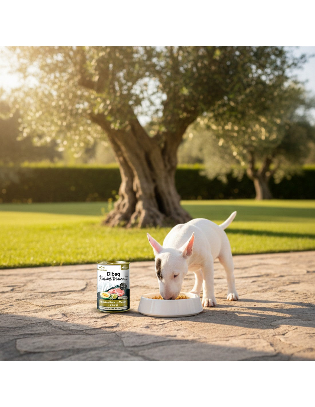 Dibaq Natural Moments Cerdo Ibérico con Melón para perros adultos