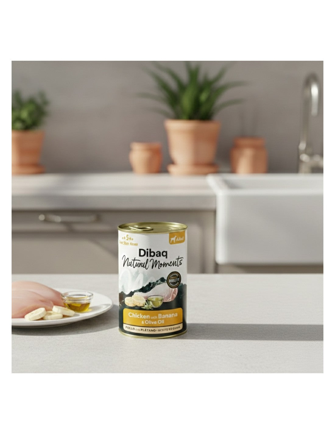 Dibaq Natural Moments Pollo con Plátano para perros adultos