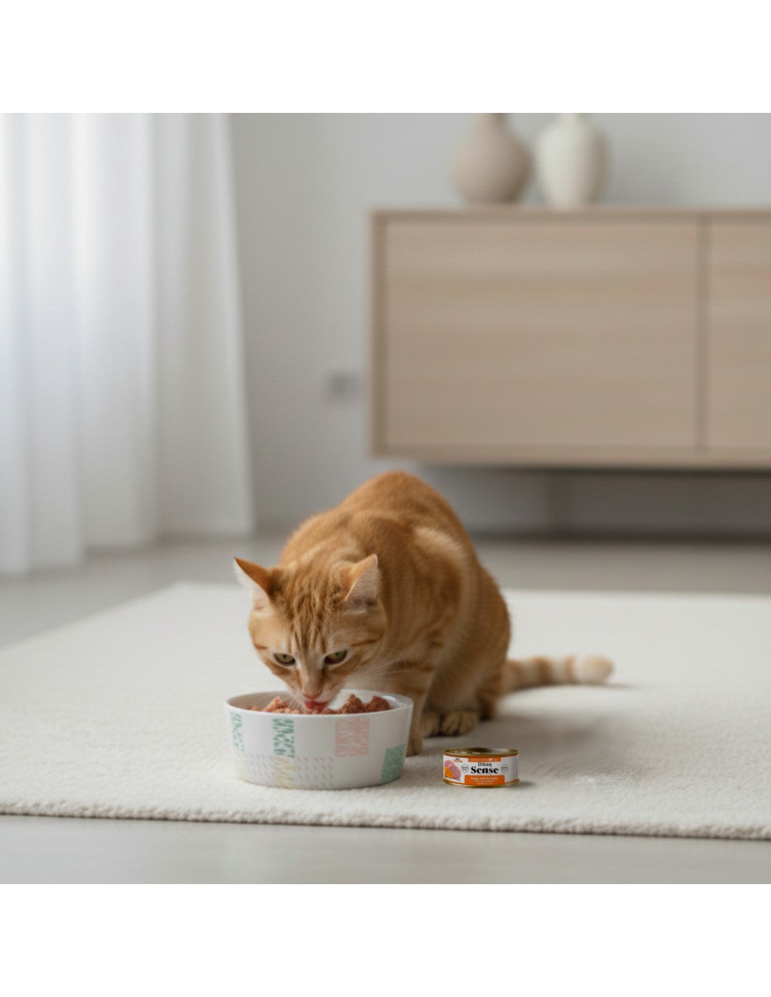 Dibaq Sense Lata Pavo con Calabaza para gatos esterilizados