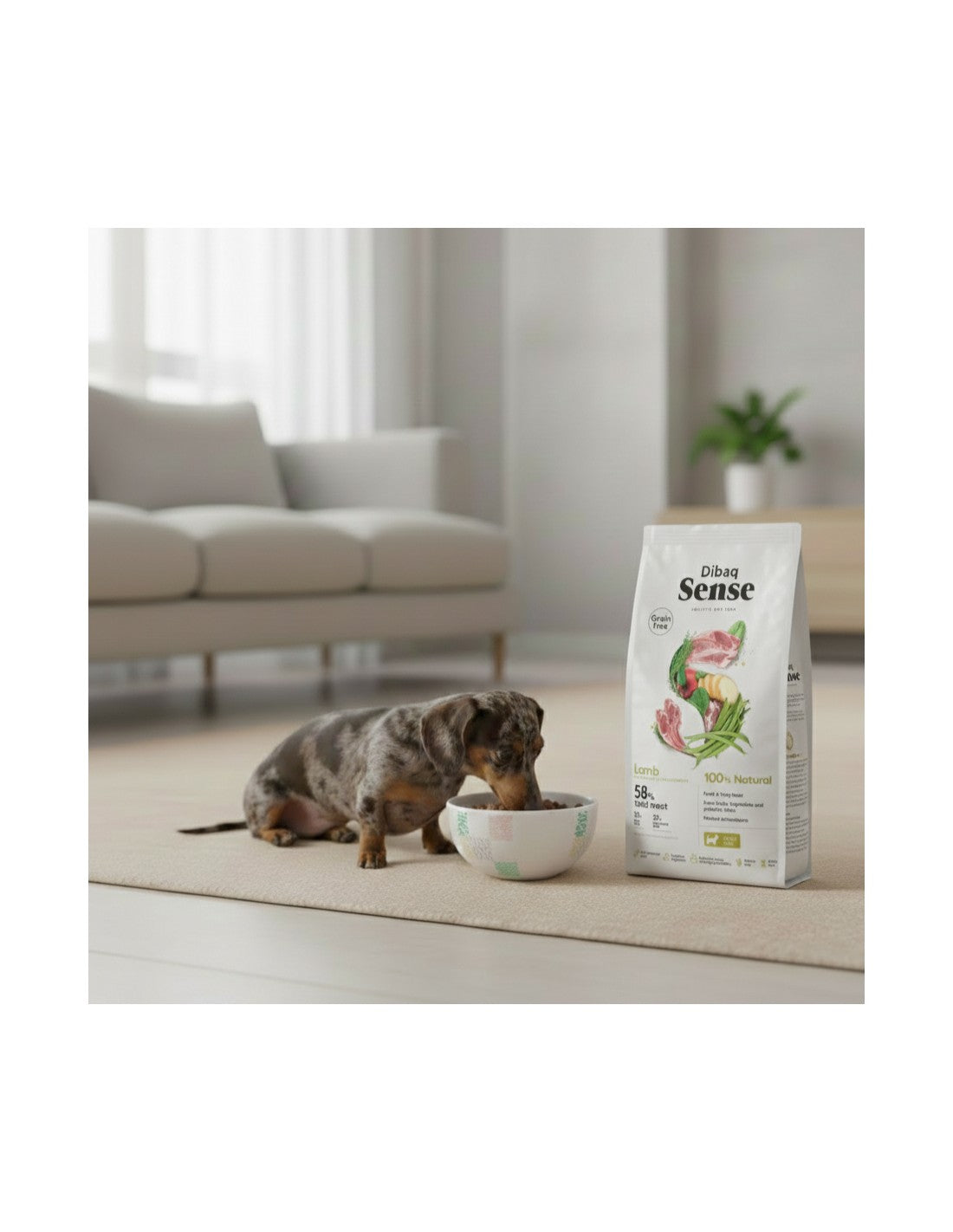 Dibaq Sense Cordero raza mini para perros adultos