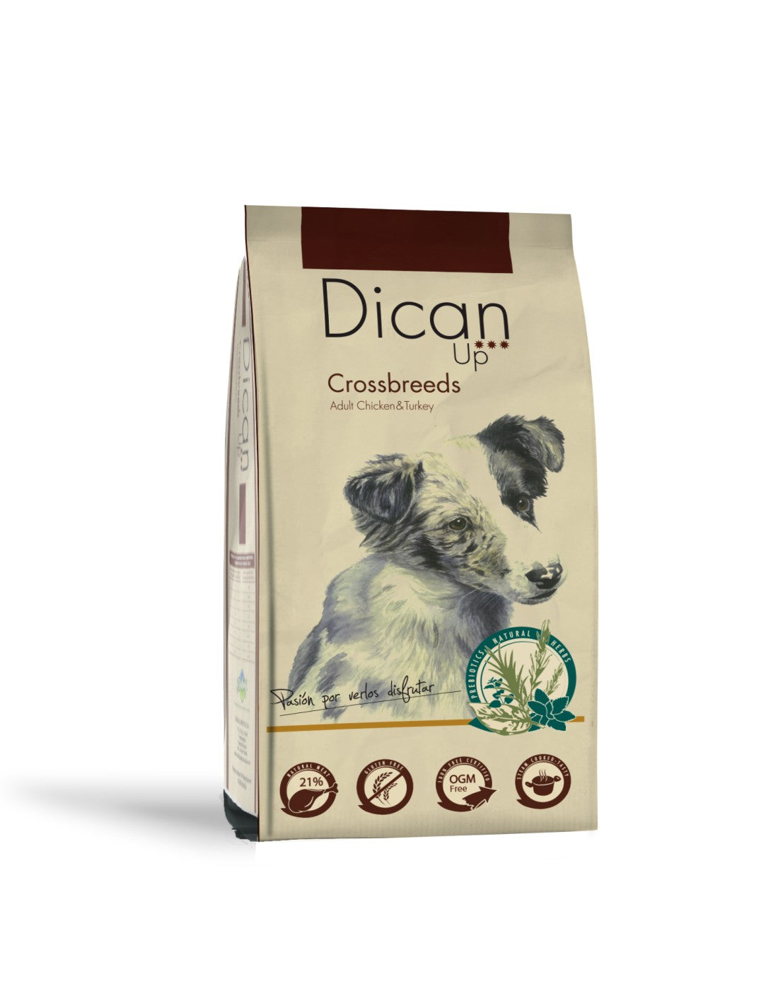 Dican Up Crossbreeds Adulto