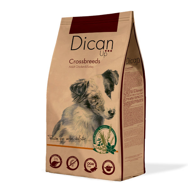 Dican Up Crossbreeds Adulto