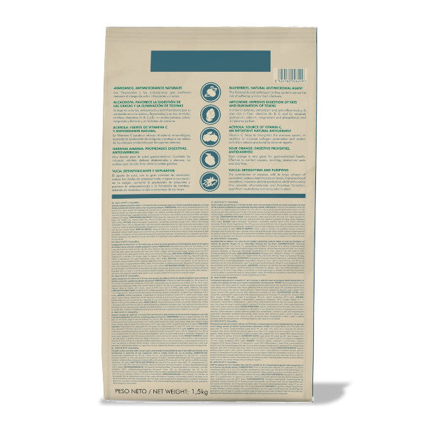 Dicat Up kitten pollo y arroz