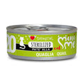 Disugual mini me codorniz gatos esterilizados