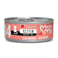 Disugual kitten salmón para gatitos