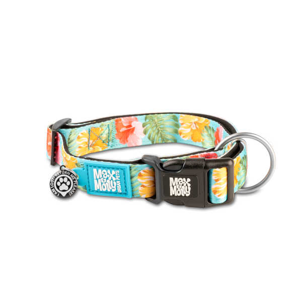 Collar Gotcha Smart ID Exotique Max & Molly para perros