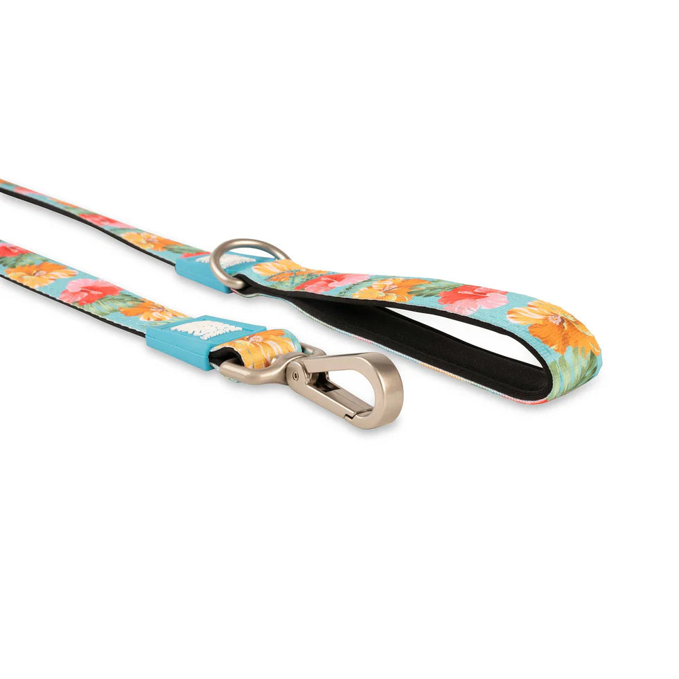 Correa Exotique Max & Molly para perros
