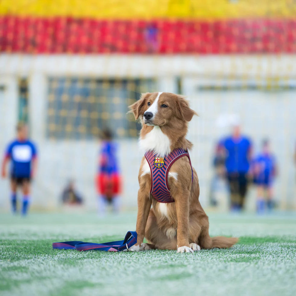 Arnés Air Vest FC Barcelona Max & Molly para perros