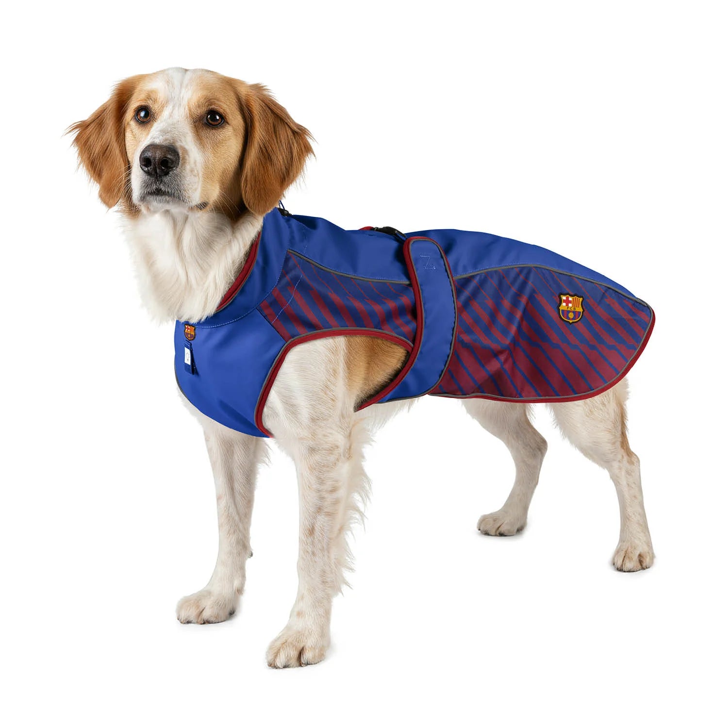 Raincoat FC Barcelona Max & Molly para perros