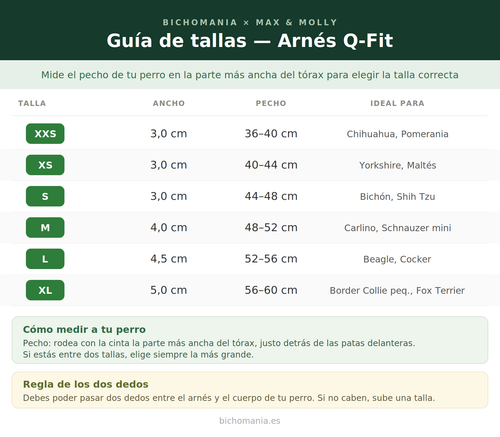 Arnés Q-Fit Matrix 2.0 Stone Max & Molly para perros