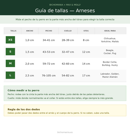 Guía de tallas arneses Max & Molly Matrix 2.0