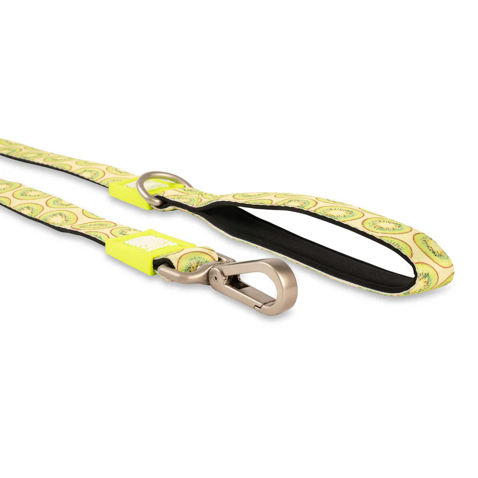Correa Kiwi Max & Molly para perros