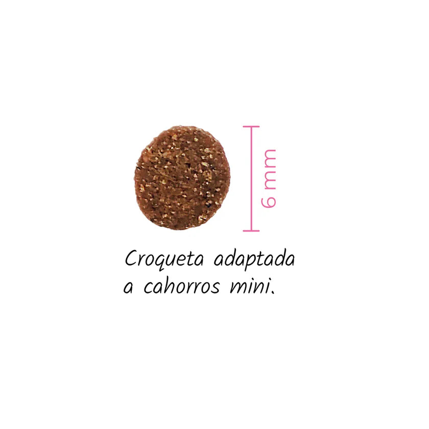 Lenda Mini Puppy First Bites - Pienso para Cachorros Pequeños