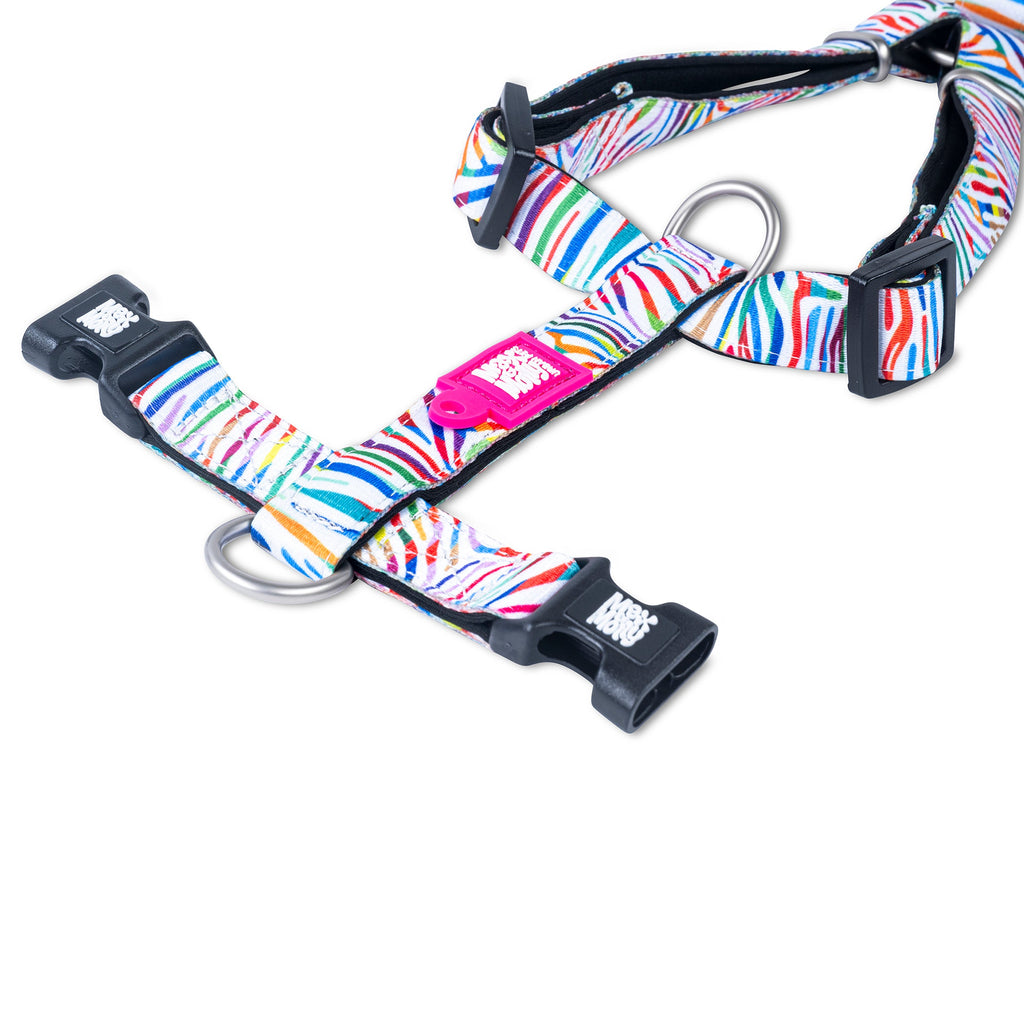Arnés Magic Zebra en H Max & Molly para perros - imagen 3