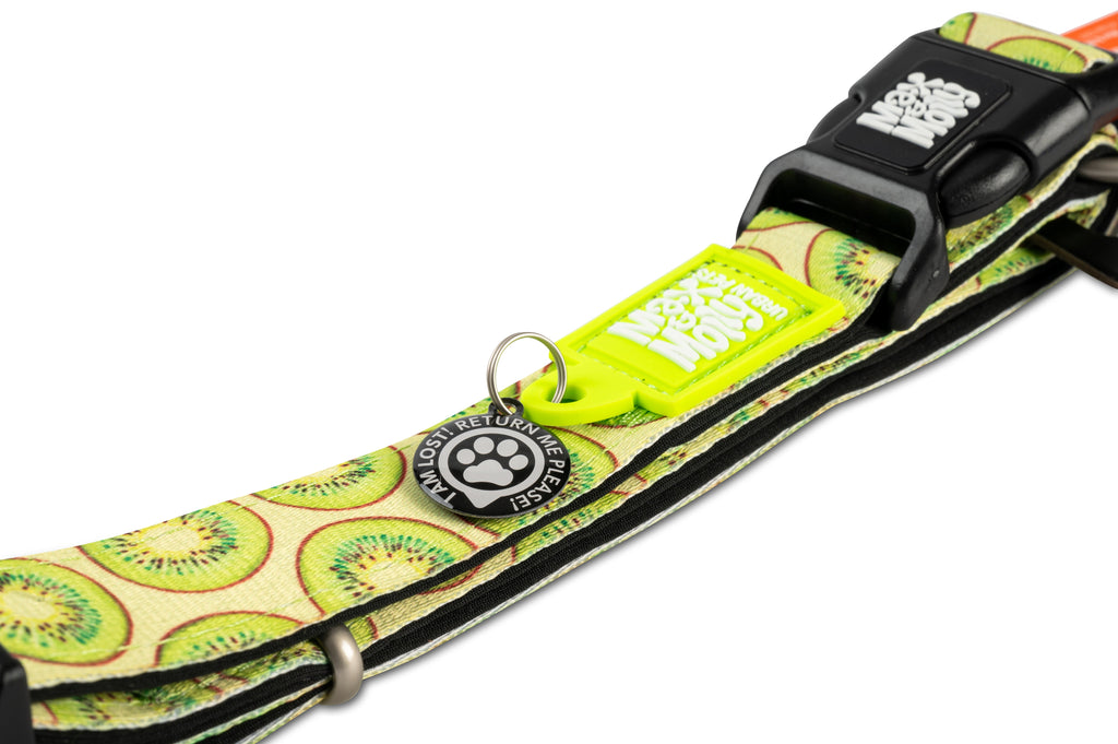 Collar Gotcha Smart ID Kiwi Max & Molly para perros - imagen 3