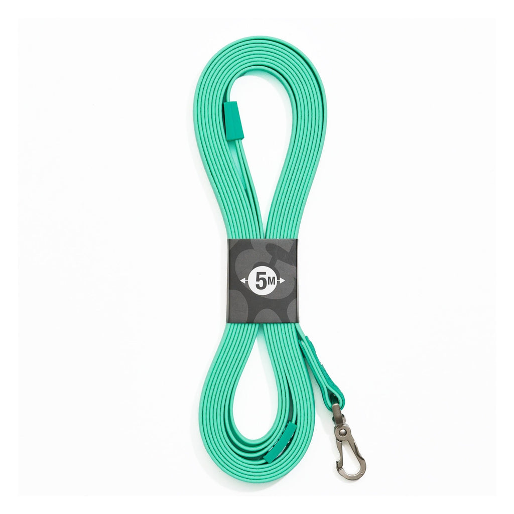 Correa de rastreo con asa Matrix 2.0 Turquoise Max & Molly para perros - imagen 1