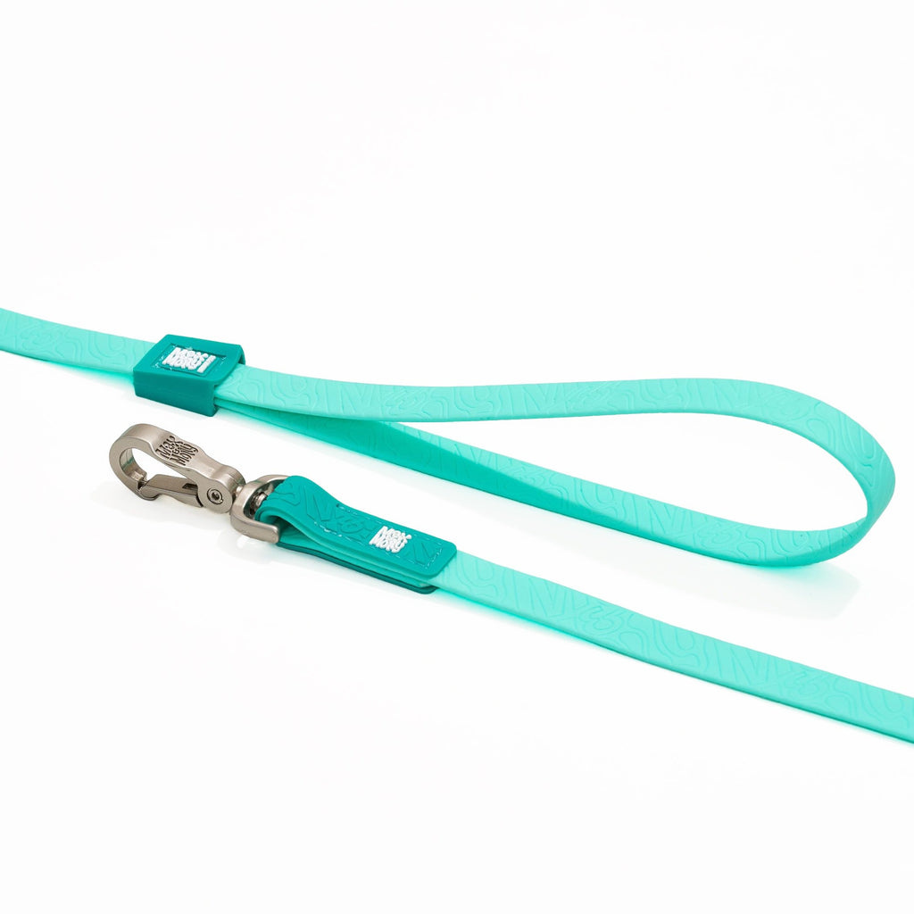 Correa de rastreo con asa Matrix 2.0 Turquoise Max & Molly para perros - imagen 3