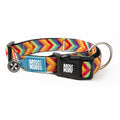 Collar Gotcha Smart ID Summertime Max & Molly para perros