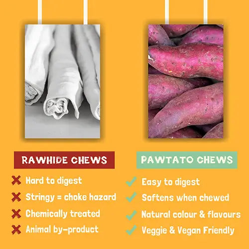 Pawtato small Purple Knots
