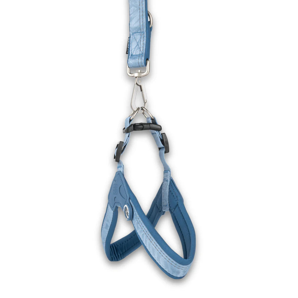 Arnés Q-Fit Matrix 2.0 Ocean Max & Molly para perros