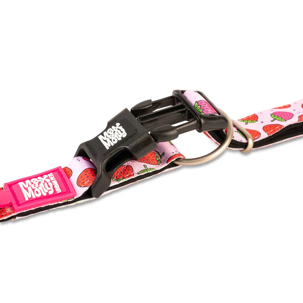 Collar Gotcha Smart ID Strawberry Dream Max & Molly para perros
