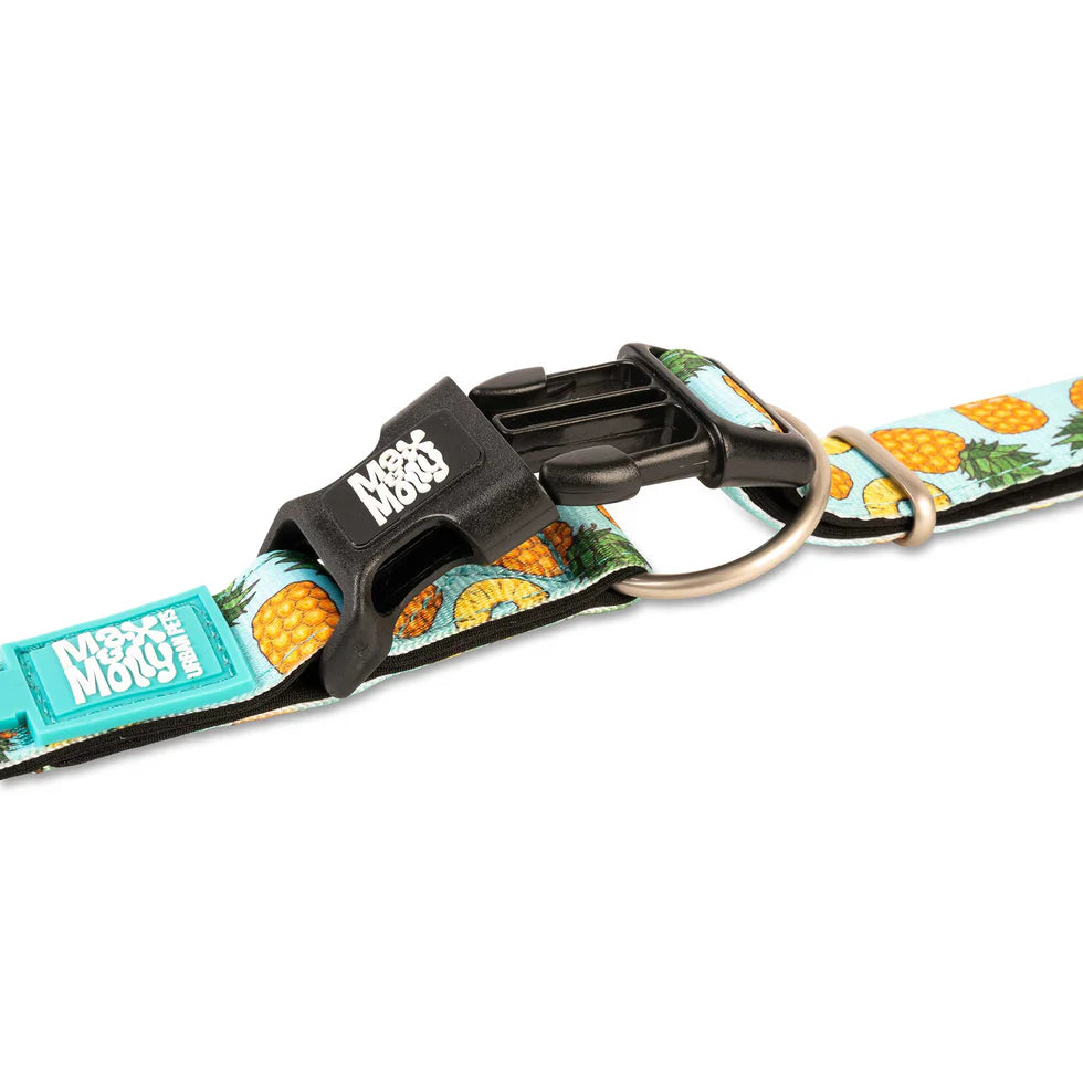Collar Gotcha Smart ID Sweet Pineapple Max & Molly para perros